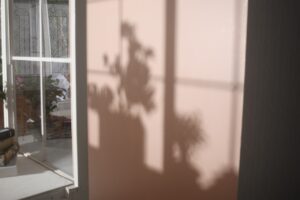 窓枠と造花の影