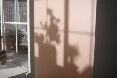 窓枠と造花の影