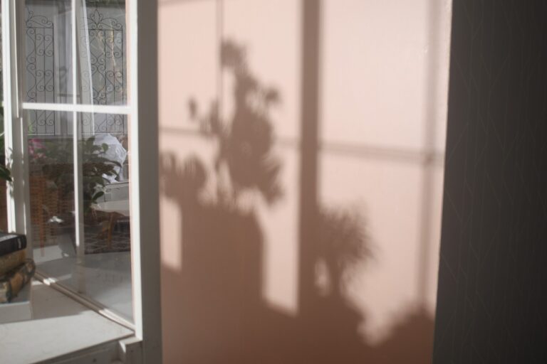 窓枠と造花の影