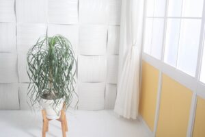 すりガラスでは失敗