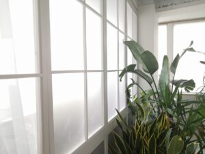 窓際も様になります
